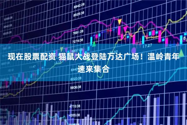 现在股票配资 猫鼠大战登陆万达广场！温岭青年速来集合