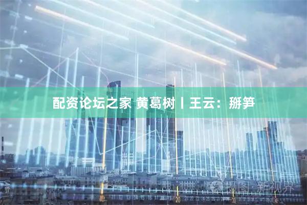 配资论坛之家 黄葛树丨王云：掰笋
